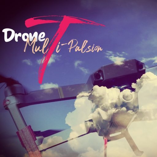 drone-Multi-Palsion